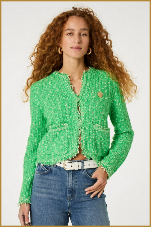 Fabienne Chapot-Joshua cardigan-FAB250011